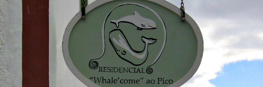 Pico Wale